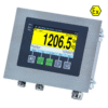 SysTec IT1 Ex222 Panel Mount SysTec IT1 ATEX Weighing Indicator